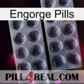 Engorge Pills 31